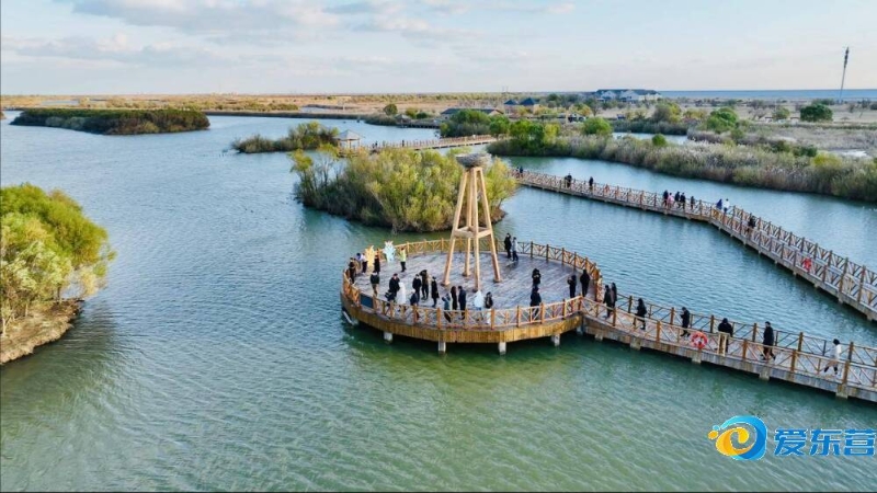 篮几乎百发 篮几乎百发