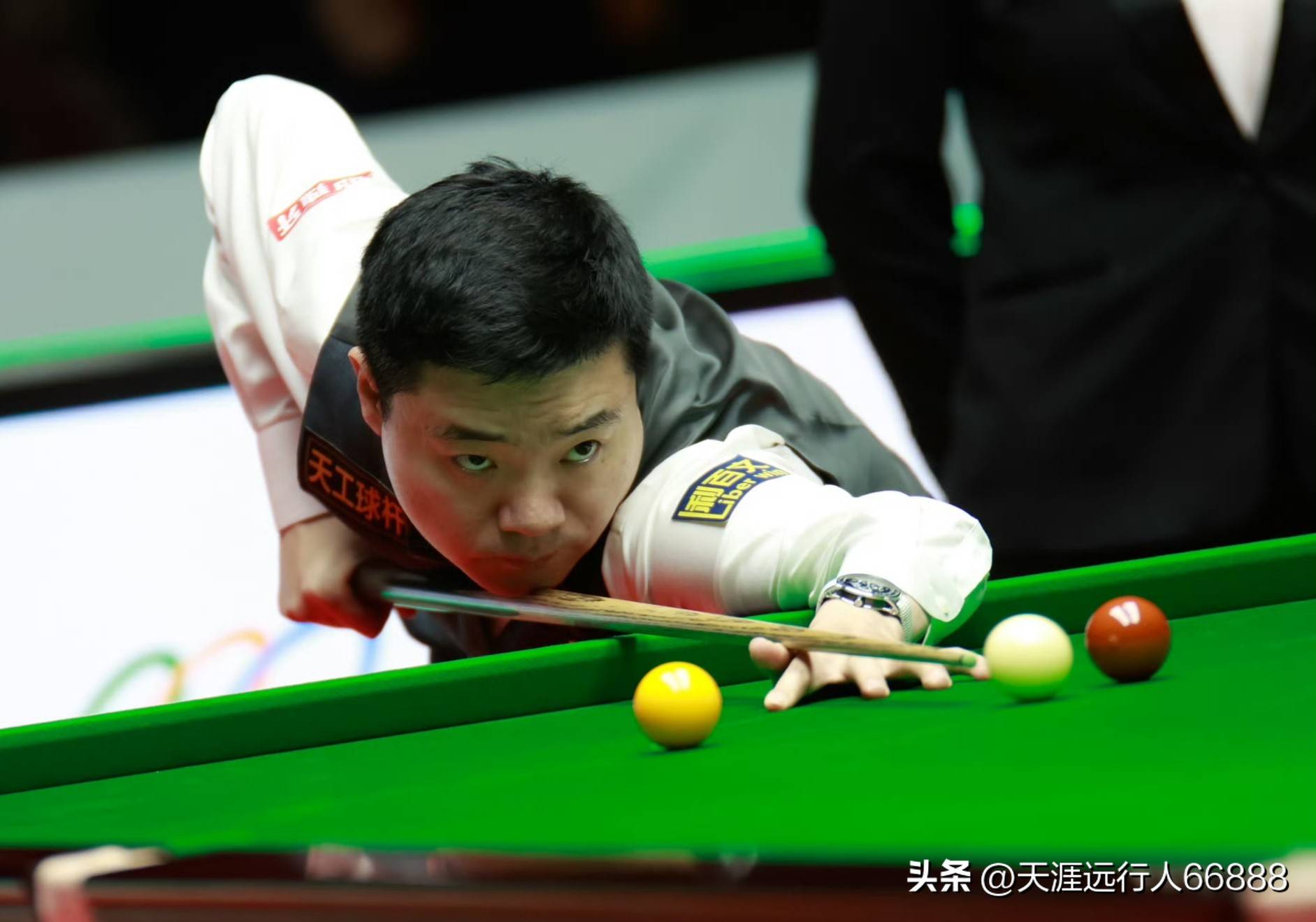 可爱输家 可爱输家